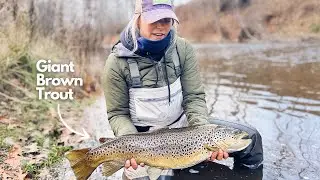 Fall Fishing Recap Part #1: Giant Lake Run Brown Trout on the Fly