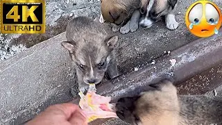 Trash Hunger is not the aunt who will give you a pie