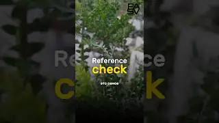Стажировка в Американских проектах для айтишников - Background check + Reference check