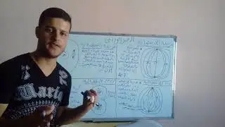 الحلقة | 2 | الخبر الوراثي ( الانقسام الغير المباشر )