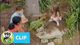 Building Fairy Houses | PINKALICIOUS & PETERRIFIC
