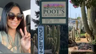 Succulent And Cactus Nursery Tour  | Shopping for Succulents And Cactus | Poot’s Cactus Nursery