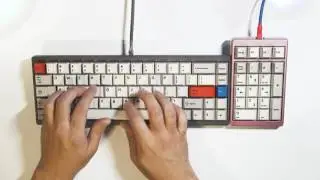 [custom keyboard]  Lyn Finger + CherryMX Black 50g (와이즈구흑 50g 건식윤활)