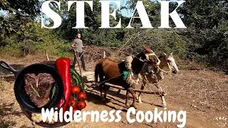 Steak In a Forest Wilderness Cooking All Organic Ingredients |TAZE KITCHEN #steak #tazekitchen