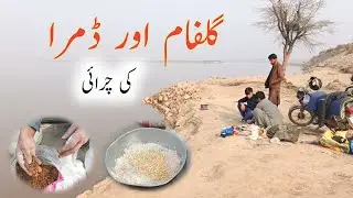 Best River Fishing Bait 🎣 | How to Make Fish Bait