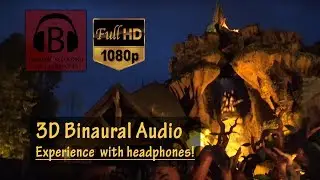 Splash Mountain, Full Ride NIGHT + Line Queue - Magic Kingdom, Walt Disney World [HD, 3D Audio]