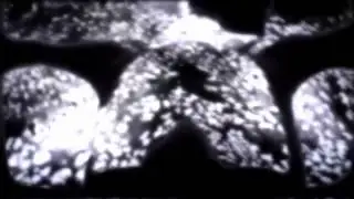 SEMA4 She is a replicant(FMBot video edit)