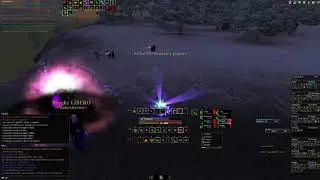 DAoC Phoenix - Dr Frossen X-mas heals (Malerhjerner & Friends)