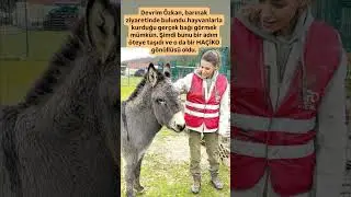 Devrim &Ouml;zkan, barınak ziyaretinde bulundu.hayvanlarla kurduğu ger&ccedil;ek bağı g&ouml;rmek m&uuml;mk&uuml;n.