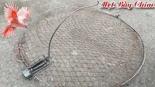 Lồng Bẫy Chim Thái Lan - Mẹt Tròn Bắt Sẻ Chòe Lửa, Ngũ Sắc, Yến Chìa Vôi Rẻ Quạt Chích 0987782098