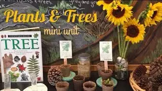 Botany Unit Study | Rainforest | Books, Resources, and Activities