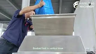 Lemon half juicer