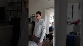Trying to take a nap goes WRONG! (My Husky throws a tantrum!) #dogshorts #huskies #shorts #dogs