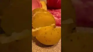 Potato and Raclette cheese