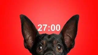 27 Minute Timer for School & Homework  Dog Bark Alarm Sound  Improve Focus & Productivity