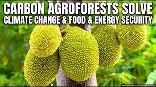 ***4 CARBON AGROFORESTS are HUMANS only CHANCE to UNIFY, stay HEALTHY,EXIST & THRIVE.