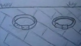 vida de cachorro mutantes