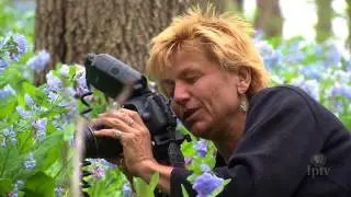 Nature Photographer Cindy Skeie