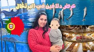 تجربة ما غاديش ننساها مع الدلافين 🐬 | الجزء 1 – حديقة الحيوانات لشبونةمرحبا بكم فهاد الفيديو
