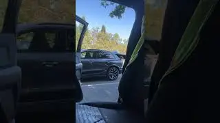 Cruising with Max