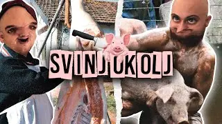 Familija i Brat moi - svinjokolj