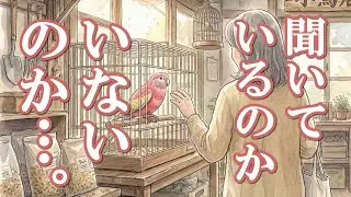 飼い主、半額に本性を曝け出す【掌編小説｜飼い鳥と飼い主 第03回】アキクサインコ