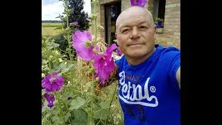 Que faire au jardin en septembre :diviser et netoyer les iris.