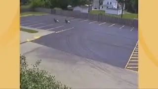 Police release surveillance video of pedal cars being stolen in Bedford