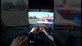 Dog chase Pt 2 😱#dogshorts #police #policecar #policechase #dogchase #running #omg
