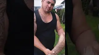 Eating Our First MORAY EEL! - Catch and Cook #shorts