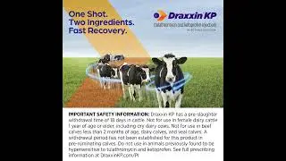 Draxxin KP from Zoetis