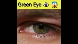 Green Eye's 👁️😱😱 || Facts Shorts || #shorts #greeneyes #facts