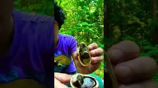 This is a FALSE TRUFFLE!!!👎👎