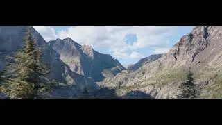 Landscapes