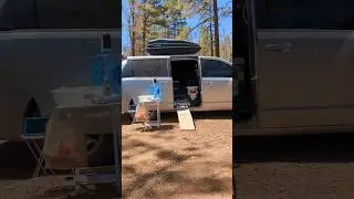 Free BOONDOCKING in Coconino National Forest #shorts #vanlife #rv #boondocking #vanconversion #van