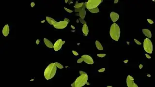 Meditation, Relaxation, Sleep |  CGI Leaves with Ambient Music | Fall Asleep Fast