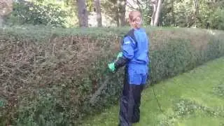 Maskinell häckklippning