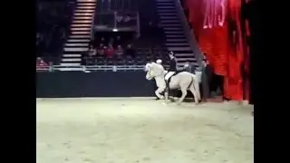 Equitana 2013 - Isl&auml;nder im Rennpass