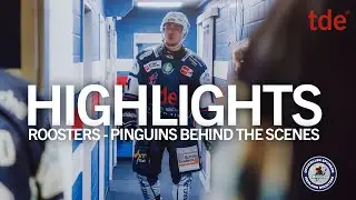 Review: Roosters vs. Fischtown Pinguins Highlights