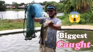 Trophy Fish Landed | Secret Fishing Techniques That Work 🎣🔥