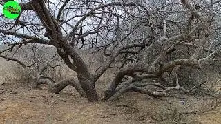 JOAQUIM MIM RELATOU ESSAS HISTÓRIAS, CONFIRA NO VÍDEO DE HOJE.