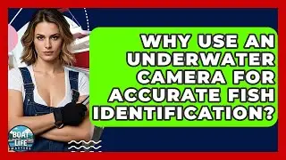 Why Use An Underwater Camera For Accurate Fish Identification? - Boat Life Masters