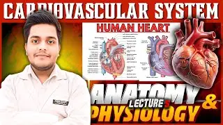 Cardiovascular System| Human Heart |L5| Anatomy & Physiology | PD Academy Medical |