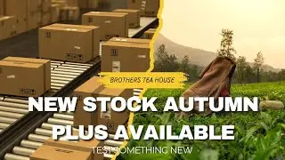 new stock autumn Plus CTC TEA available @Brothersteahouse Siliguri Darjeeling #ctctea #teabusiness