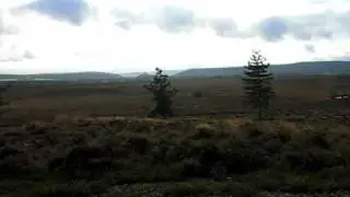 Heathland Management explained in brief