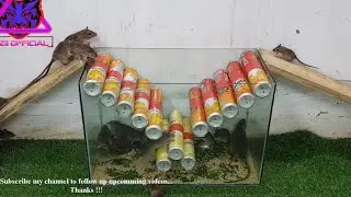Top 10 best mouse traps 2021 / Simple mouse traps with plastic pipes / The mice cannot get out