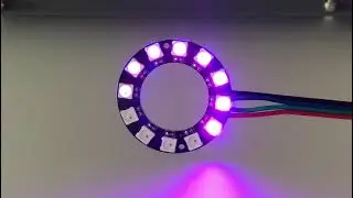 Dc12V ws2812b ws2812 sk6812  5050 rgb pixel led ring with 12led