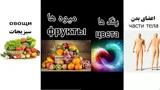 سبزیجات ، میوه ها ، اعضای بدن ، رنگ ها (Pari Russia)