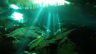 Diving Cenotes at Playa del Carmen