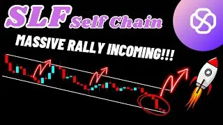 Massive Rally Of Self Chain (SLF) Crypto Incoming!!!